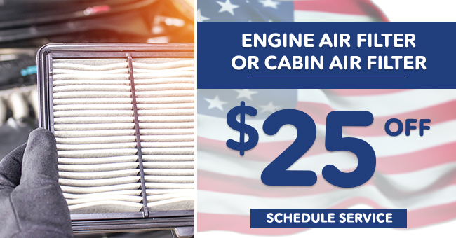 Engine Air Filter or cabin air filter