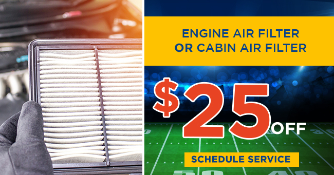 Engine Air Filter or cabin air filter