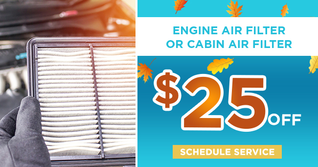 Engine Air Filter or cabin air filter