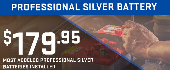 PROFESSIONAL SILVER BATTERY