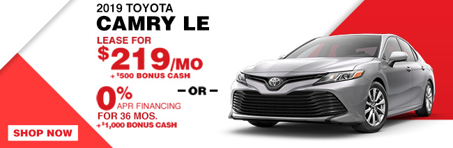 New  2019 TOYOTA CAMRY LE