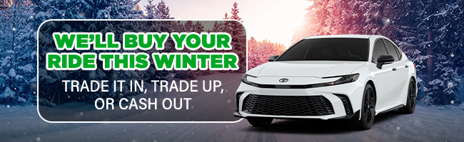 we will buy your ride this winter