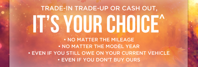 Trade-In Trade-Up or Cash out - Its your choice