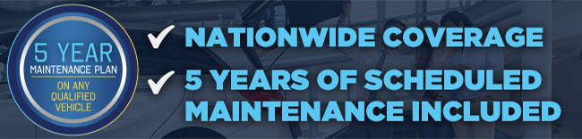 5 year maintenace plan