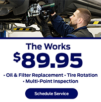 The works - oil and filiter replacement - tire rotation - muliti-point inspection special