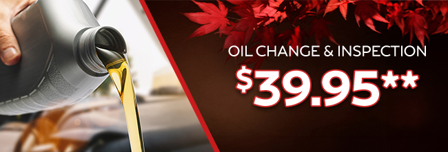 OIl change and inspection offer