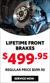 Winter-Ready brake and Battery special