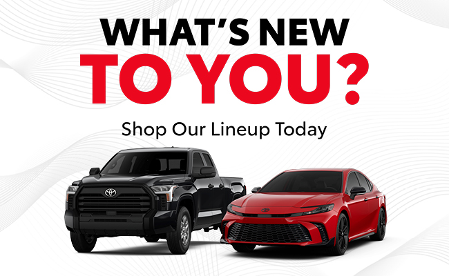 Whats new to you? Shop Our Lineup Today