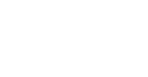 BMW of Tampa Logo