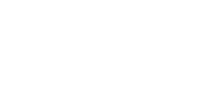 BMW of Tampa Logo