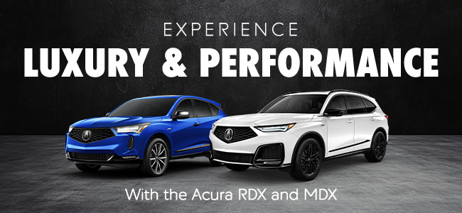 Experience Luxury & Performance