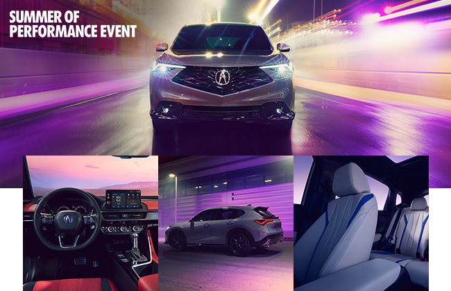 Experience Luxury & Performance