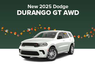 Dodge Charger image