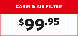 Cabin and air filter special