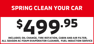 Cabin and air filter special
