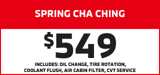 Annual Synthetic Oil and Filter Change special