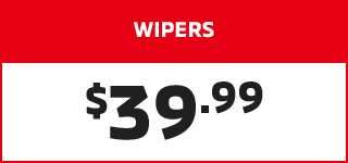 Cabin and air filter special
