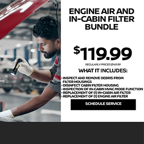 Engine air and in-cabin filter bundle