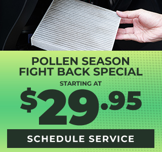 Pollen Seanson fight back offer