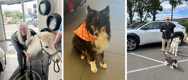 a collage of pictures at  Subaru at Colonial Subaru of Feasterville