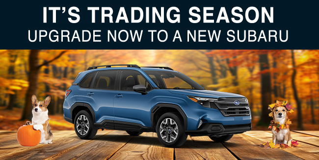 Start your summer adventure at Colonial Subaru of Feasterville