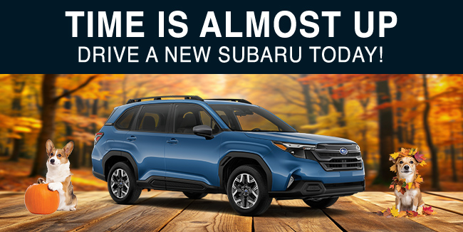 Hurry - Hot deals end soon - Make this SUmmer one to Remember