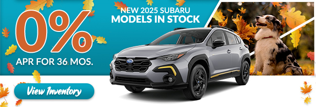 zero percent apr for 36 months