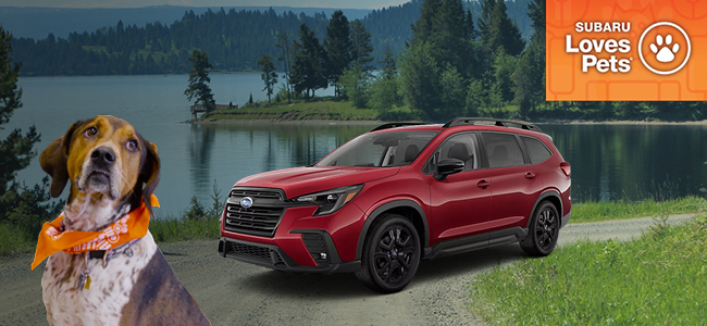 Save $8000 on a TOP RANK low-Cost Subaru SUV - Subaru Loves Pets