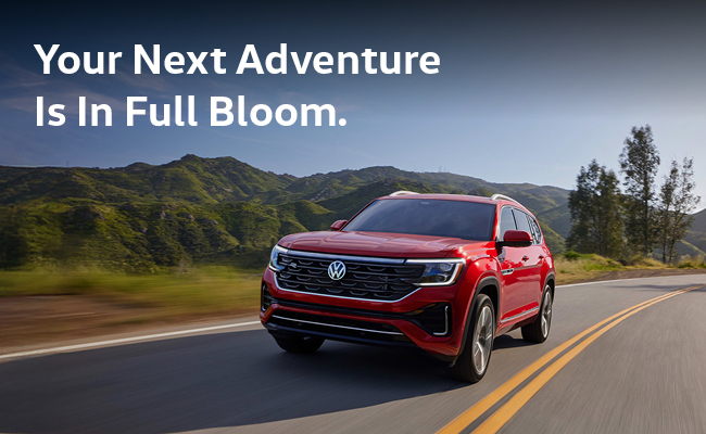 Your next Adventure is in full bloom