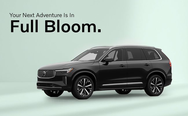 Your Next Adventure is in Full Bloom