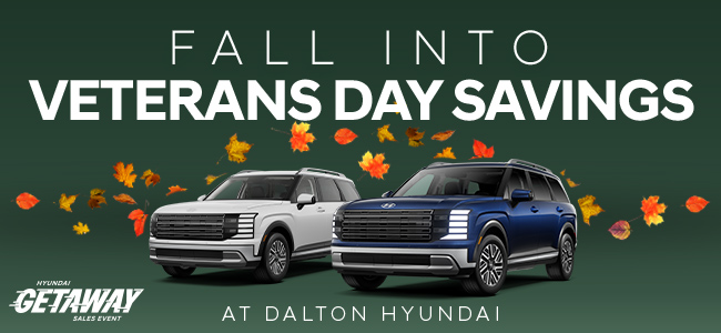 Discover the Palisade Hybrid