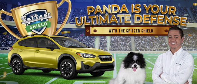 Panda is your ultimate defense - with the Spitzer Shield