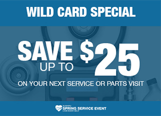 Wild Card special