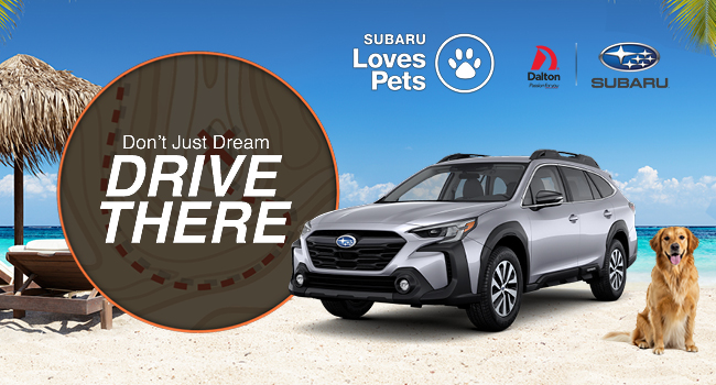 Discover the never-ending adventure of a new Subaru