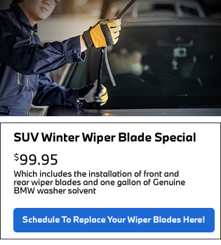 SUV Winter wiper blade Special