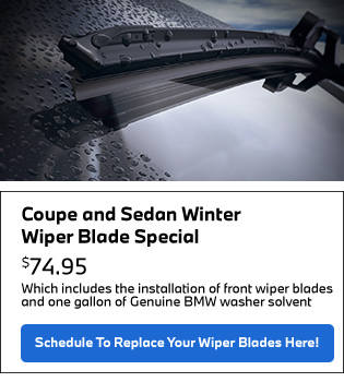 Coupe and sedan winter wiper blade special