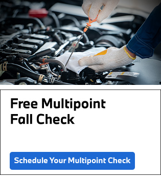 Free Multipoint Fall Check