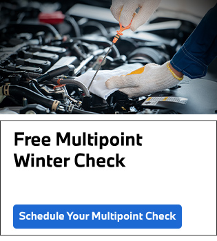 Free Multipoint Fall Check