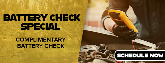 battery check