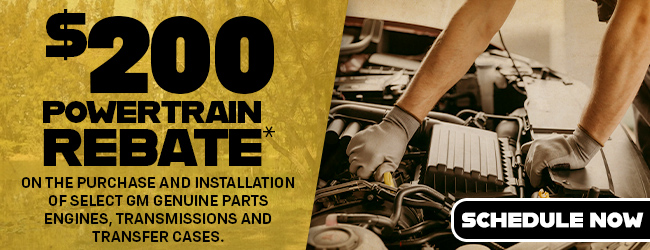 powertrain rebate