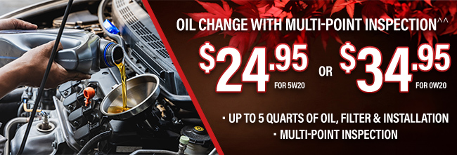 oil change with multipoint inspection