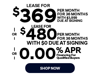 2026 Hyundai Ioniq 9 SE Offer