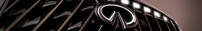 view of an INFINITI QX65 front grill