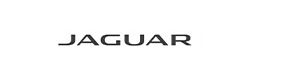 Jaguar St. Petersburg logo