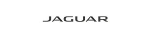Jaguar St. Petersburg logo
