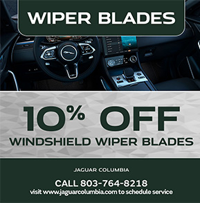 10 percent off winshield wiper blades