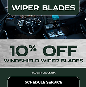 10 percent off wiper blades