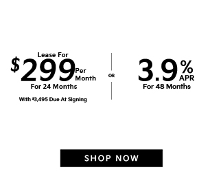 2024 Carnival LXS Seat Package offer