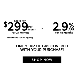 2025 Kia Carnival offer