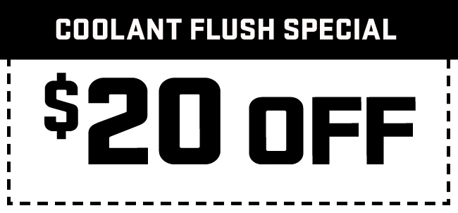 alignment special offer